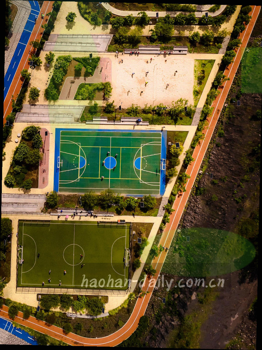 竖直构图中一只手握手机观看比赛画面，背景为模糊的夜间看台灯光